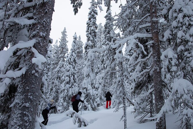Levi: Lakeside forest snowshoeing - Why Snowshoe on the Frozen Lake Near Kätkä Mountain?