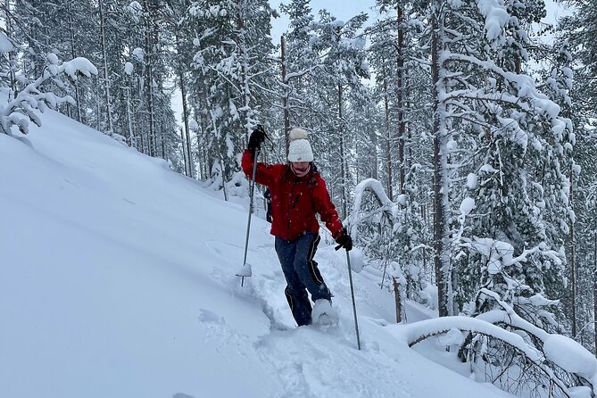 Levi: Lakeside forest snowshoeing - Walking Across the Frozen Lake Surface Without Feeling Like a Stunt
