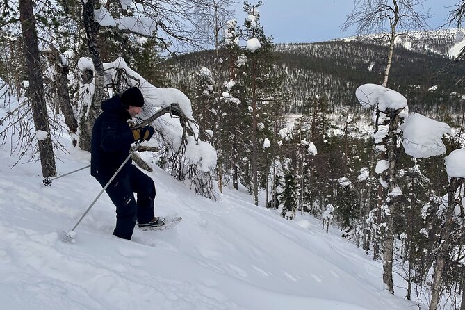 Levi: Lakeside forest snowshoeing - Booking Smart: Timing, Weather, and the Mobile Ticket