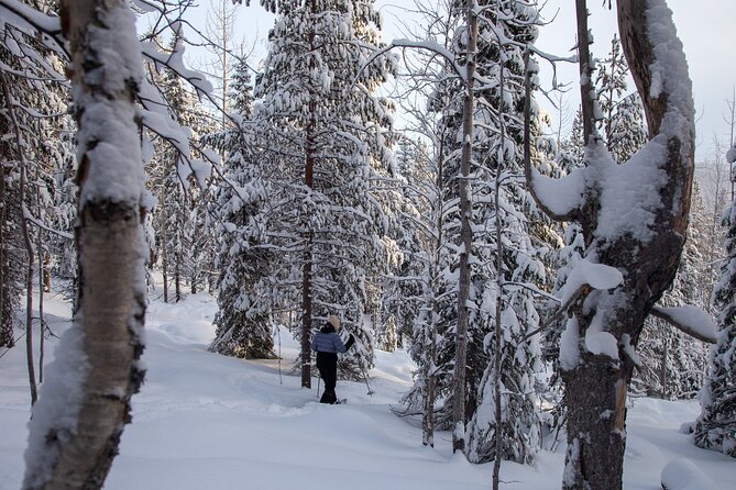 Levi: Lakeside forest snowshoeing - The 2-hour flow: Levintie 1603, a van ride, and time near Sirkka