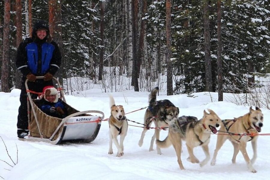 Levi: Lapland Reindeer and Husky Safari - Winter reality check: snow levels, what to wear, and why thermal gear matters