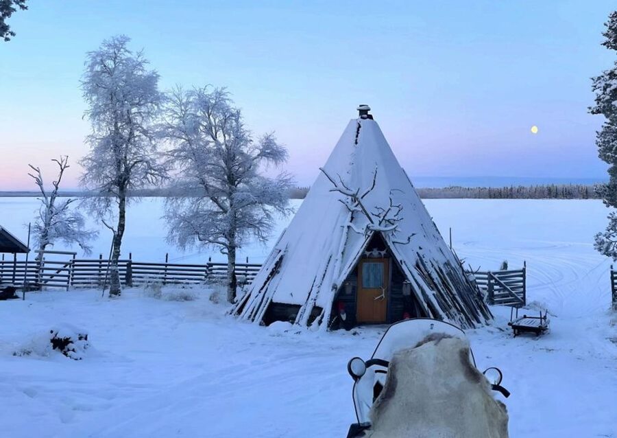 Levi: Lapland Reindeer Safari - Key highlights to look for