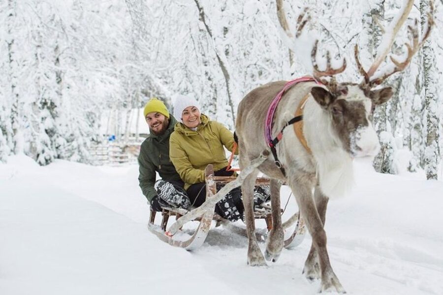 Levi: Lapland Reindeer Safari - The sled ride through snowy forest: quiet power and a short, sweet route