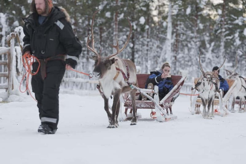 Levi: Lappish Reindeer Sled Ride 3 km - Arriving in Levi, Then Riding Into Lapland Quiet