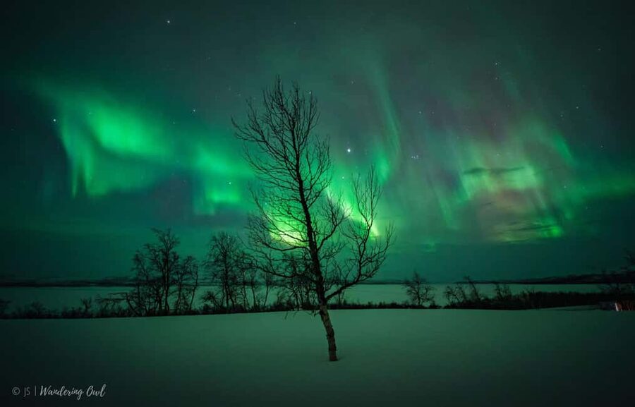 LEVI Night Star Walk on Snowshoes (ALL INCLUDED) - Arctic Night Sky Lessons: Constellations, Timing, and Photo Breaks