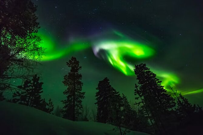 Levi Northern Lights Experience - Key points before you go