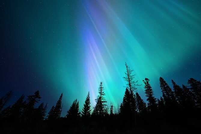 Levi Northern Lights Experience - How guides improve your odds, even when clouds show up