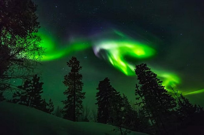 Levi Northern Lights Experience - Photo help in the cold: more than just pointing at the sky