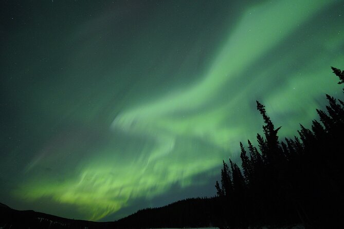Levi Northern Lights Experience - Warm cabin breaks, snacks, and glogi that make the waiting bearable