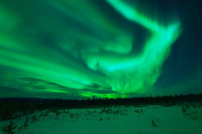 Levi Northern Lights Experience - Weather reality check: pack for Lapland cold, not a mild winter