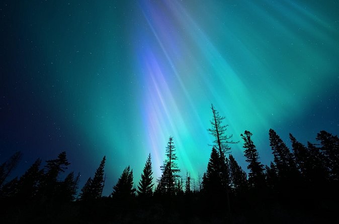 Levi Northern Lights Experience - Languages, service, and the small-group vibe