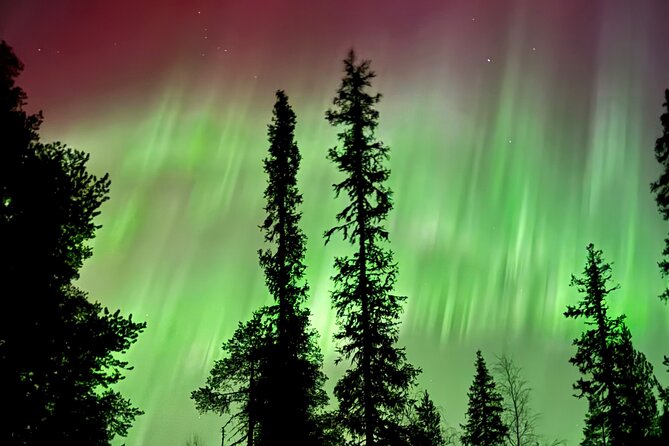 Levi Northern Lights Experience - Real-time guiding means you might drive far for clearer skies