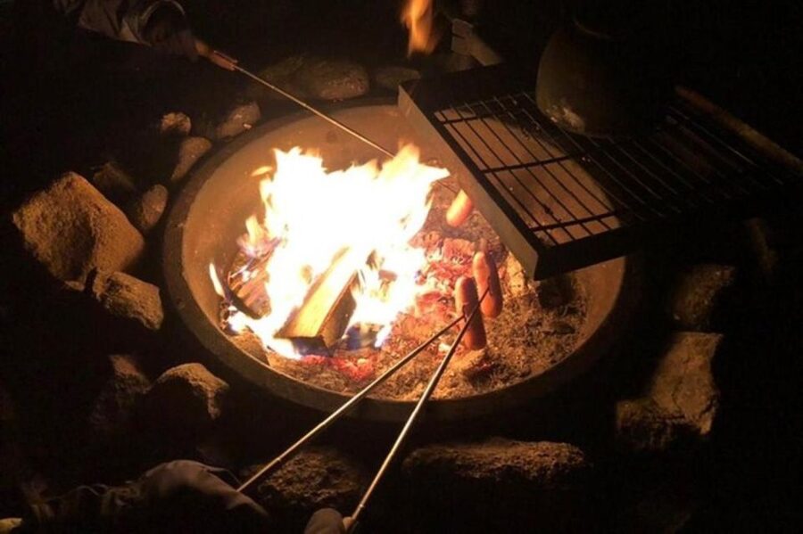 Levi: Northern Lights Hunt Including Campfire Snacks - How the 3-hour plan feels from start to finish