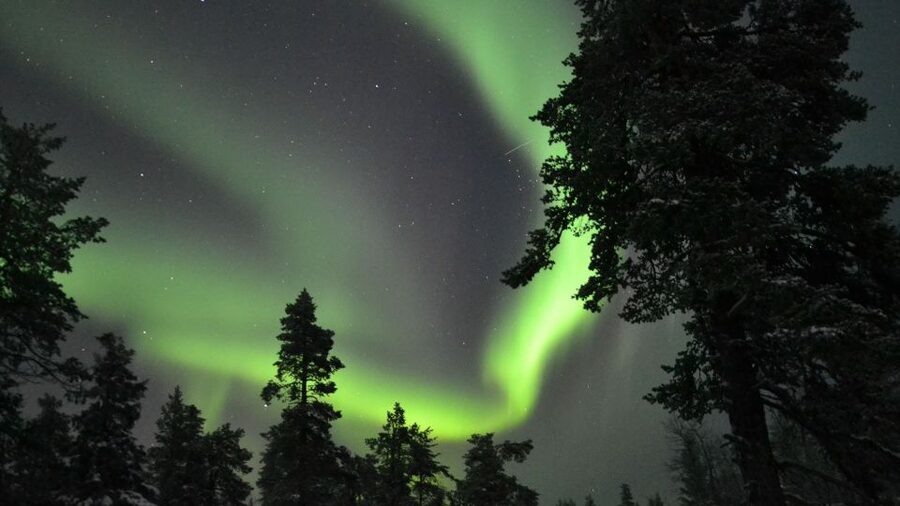 Levi: Northern Lights Snowmobile Tour with Snacks and Drinks - Small “Plan for It” Notes From Real-World Outcomes
