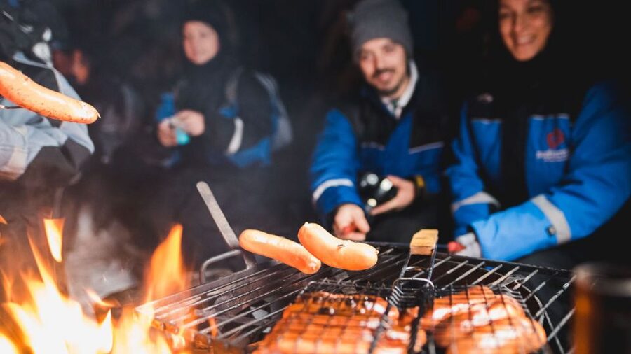 Levi: Northern Lights Snowmobile Tour with Snacks and Drinks - Why Snowmobiling Under Arctic Stars Beats a Quick Aurora Stop