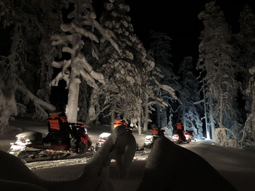 Levi: Northern Lights Snowmobile Tour with Snacks and Drinks - Price and What You Actually Get for 3 Hours in Levi