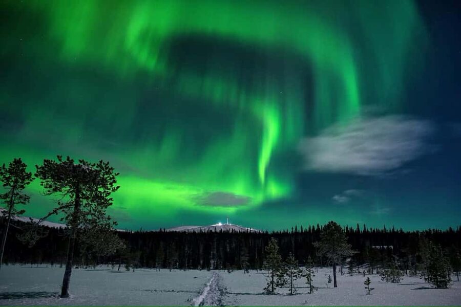 Levi: Northern Lights Tour and Stargazing by Telescope - Who this Levi Northern Lights and Stargazing tour is best for