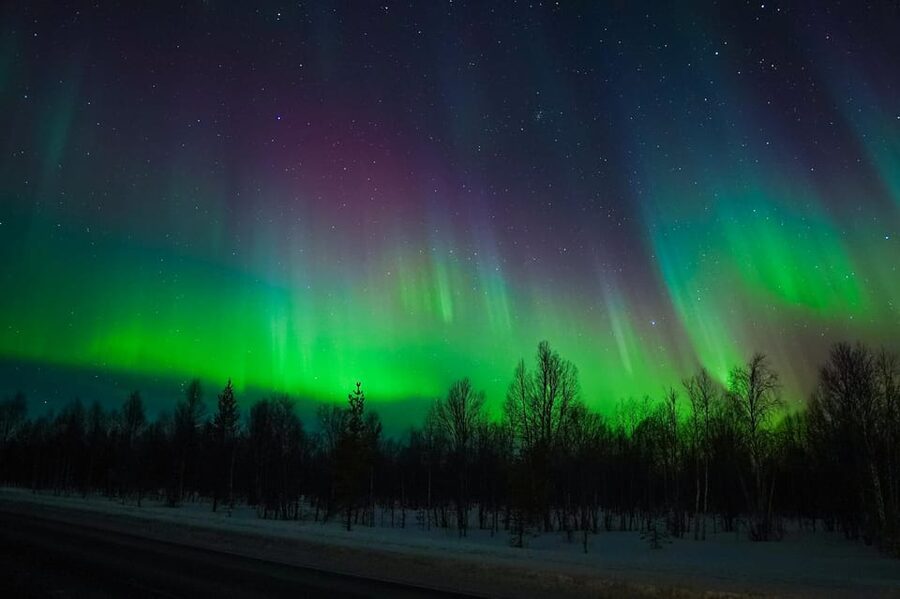 Levi: Northern Lights Tour with Guaranteed Sightings - Duration, timing, and your expectations for the night