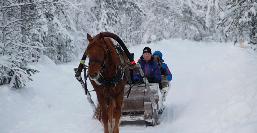 Levi: One Horse Open Sleigh Ride - Quick hits before you go