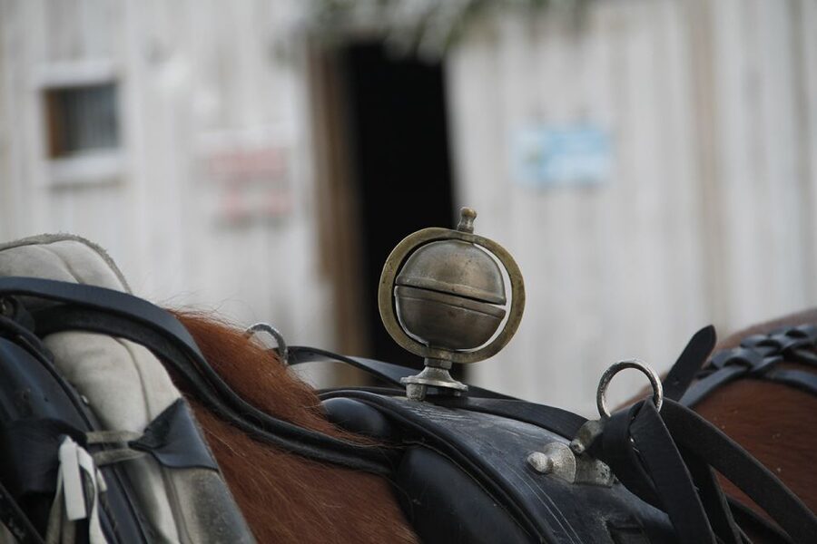 Levi: One Horse Open Sleigh Ride - One-horse sleigh rides in Levi: why this is a smart winter choice