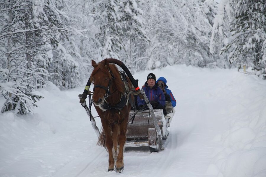 Levi: One Horse Open Sleigh Ride - The short safety briefing and guided intro that set the tone