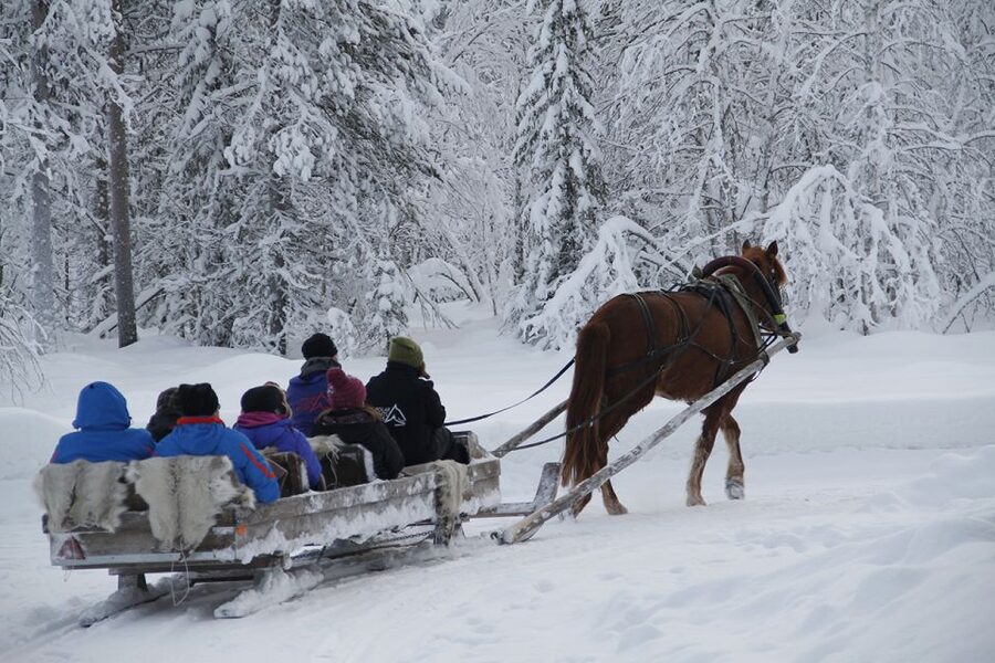 Levi: One Horse Open Sleigh Ride - Meeting at Levi Center: the exact starting spot that keeps things easy