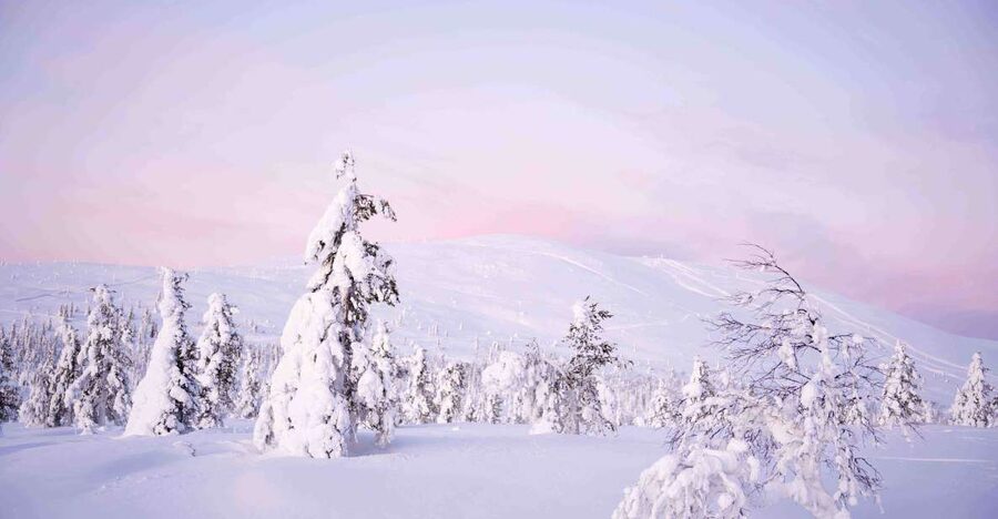 Levi: Pallas National Park Adventure with Pro Photos & BBQ - Why Pallas-Ylläs Fell Country Feels Like Real Lapland