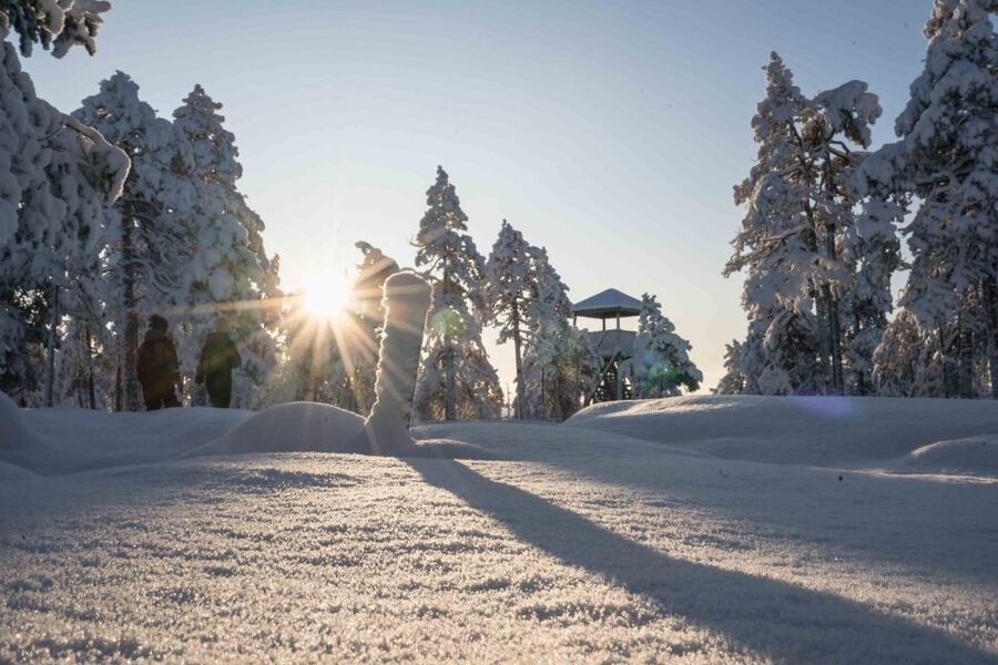 Levi: Pallas National Park Adventure with Pro Photos & BBQ - Pallas-Ylläs Walking Route: The Fell Area Hike (Foot First, Snowshoes If Needed)