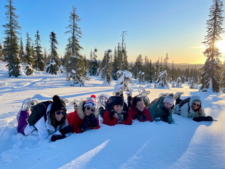 Levi: Pallas-Yllästunturi National Park Snowshoeing Tour - From Levi Pickup to the Park: How the Day Starts