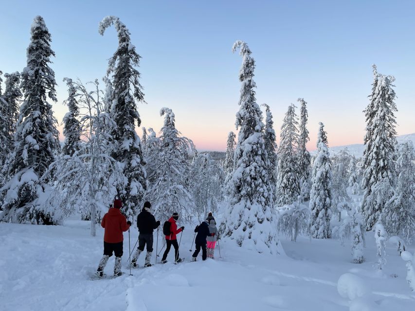 Levi: Pallas-Yllästunturi National Park Snowshoeing Tour - The Hut Lunch by Campfire: Warm Food, Warm Time