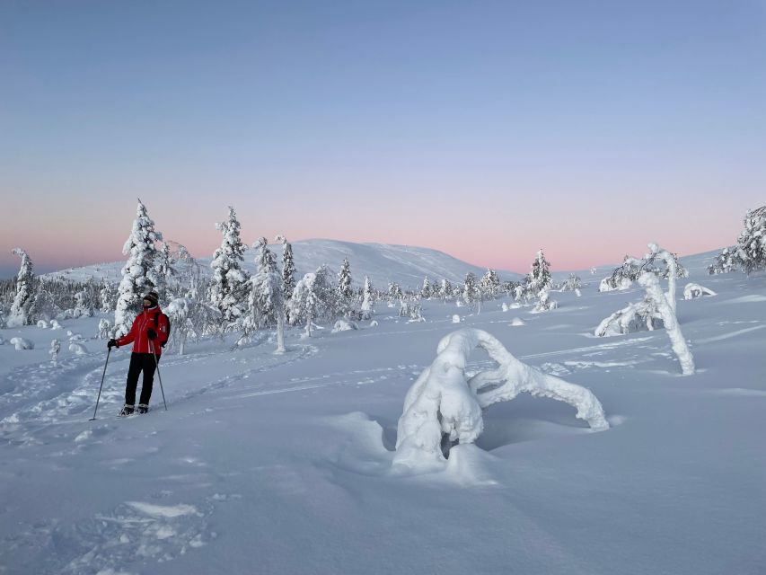 Levi: Pallas-Yllästunturi National Park Snowshoeing Tour - Price and Value: Is $187 a Fair Deal?