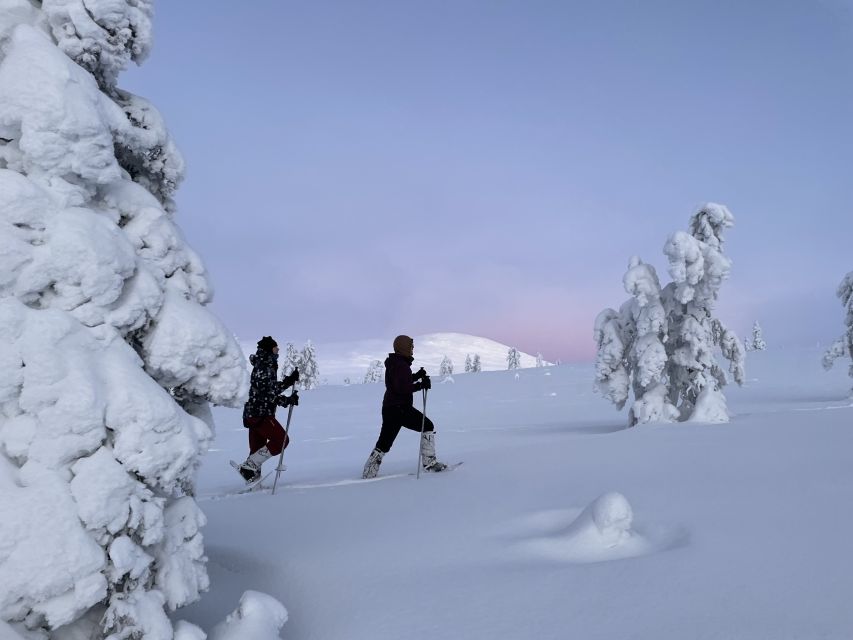 Levi: Pallas-Yllästunturi National Park Snowshoeing Tour - Snowshoeing Over Tundra and Through Silent Forest