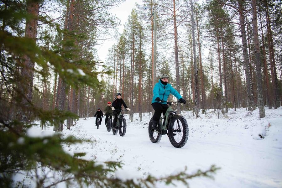Levi: Reindeer Farm E-Fatbike Safari - Key points that make this safari worth your time