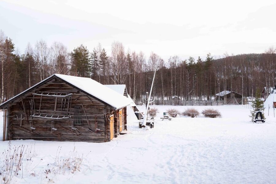 Levi: Reindeer Farm E-Fatbike Safari - E-fatbike safari basics in Levi, Finland