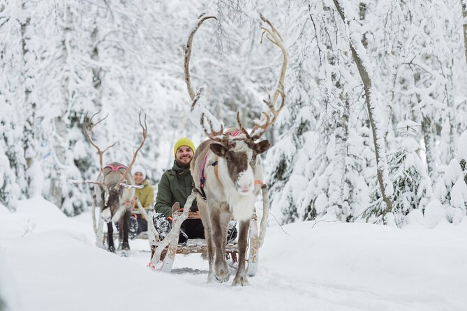 Levi Reindeer Safari - Long or Quick - with Sledge Ride - Animal-welfare and safety: how to have the right expectations