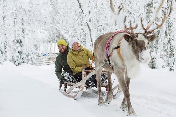Levi Reindeer Safari - Long or Quick - with Sledge Ride - Price and value: is about $114 fair for 2 hours?