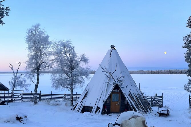 Levi Reindeer Safari - Long or Quick - with Sledge Ride - The 2-hour reality: what you actually get (pickup to drop-off)