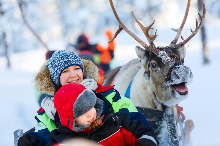 Levi: Reindeer Sleigh Ride Tour in Snowy Forest - The 1.5 km reindeer sleigh ride through Lapland’s snowy forest