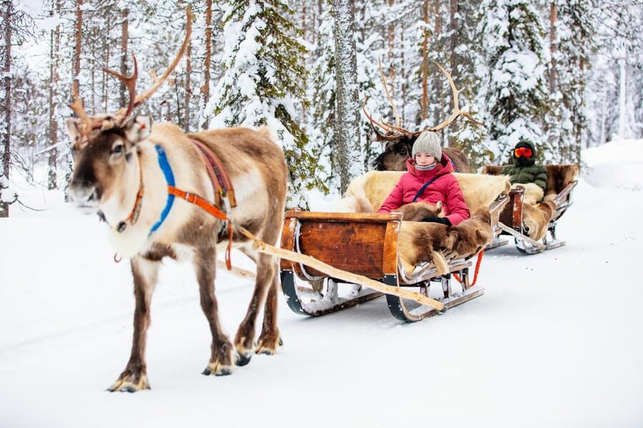 Levi: Reindeer Sleigh Ride Tour in Snowy Forest - Who should book this reindeer sleigh ride in Levi