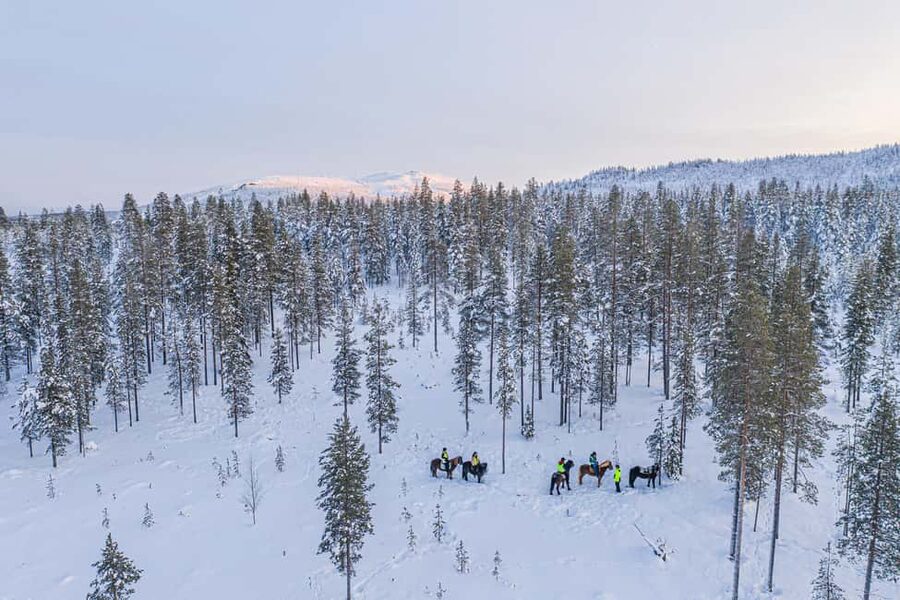 Levi: Riding Trek with Icelandic Horses - Getting to the stable: Lapland Saga or Design Hotel Levi