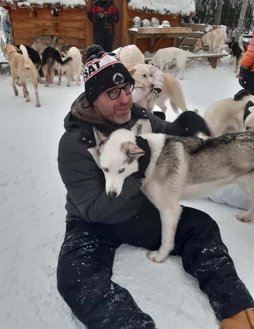 Levi: Self-Drive 2 KM Husky Sledding Experience - Key Highlights You’ll Feel Immediately