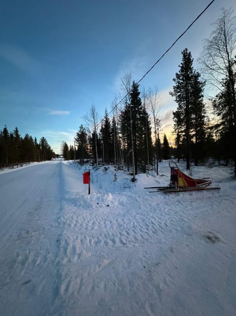 Levi: Self-Drive 2 KM Husky Sledding Experience - Who This Experience Is Perfect For, and Who Should Skip It