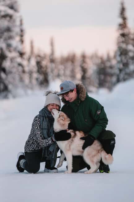 Levi: Self-Drive 2 KM Husky Sledding Experience - Meeting the Team at Kurjennivantie 118 Huskyfarm