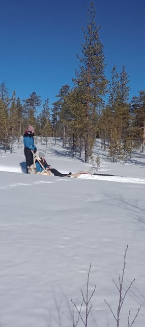 Levi: Self-Drive 5 KM Husky Sledding Experience - The Warm-Up Phase: Safety Rules and Husky Team Basics