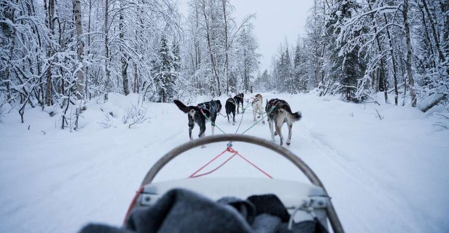 Levi: Self-Drive Guided Husky Tour - Levi Center Meet-Up, Then Straight Into Husky Mode