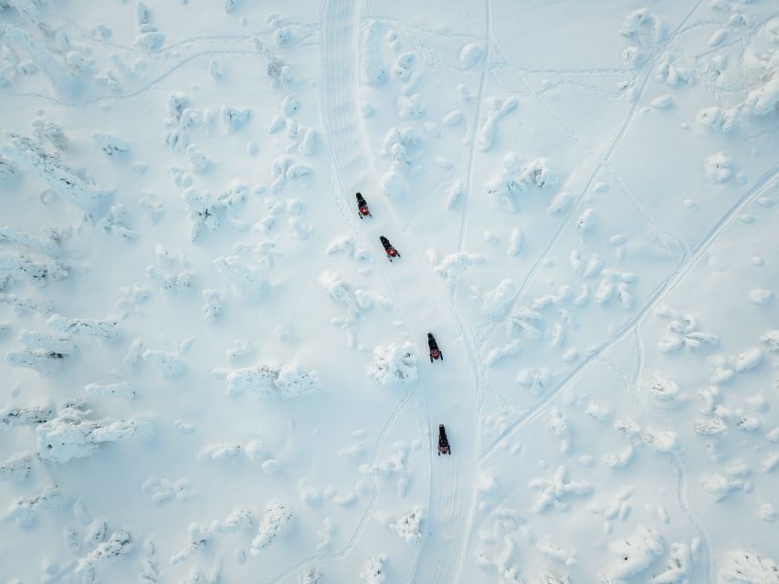 Levi: Snowmobile Safari for Adults - Timing in the cold: what 3 hours really feels like