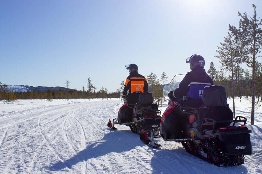 Levi: Snowmobile Safari to the Levi Nature - Price and Value: Why $146 Can Make Sense Here