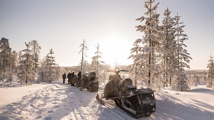 Levi: Snowmobile Safari to the Levi Nature - The Family Angle: Kids in a Sleigh Pulled by the Guide