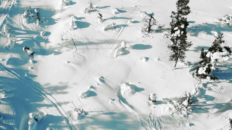 Levi: Snowshoe Adventure in the Wilderness - Key points before you go