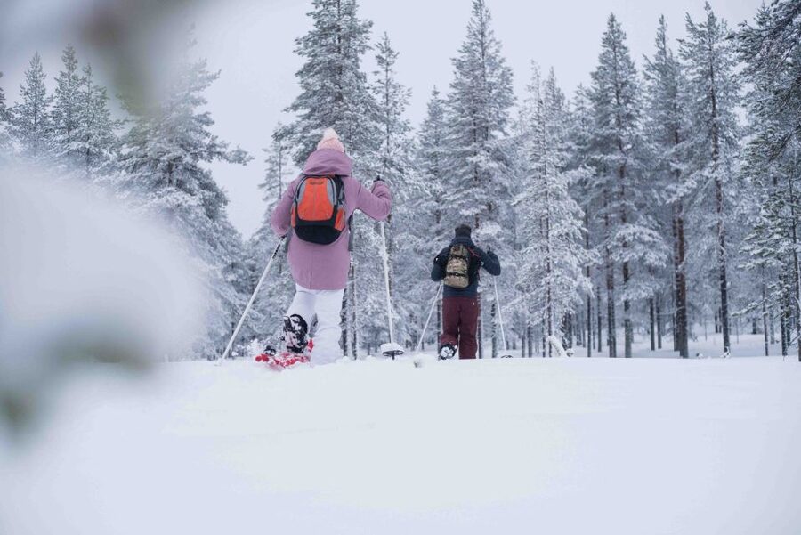 Levi: Snowshoe Adventure in the Wilderness - Price and value: where the $105 goes for 3.5 hours